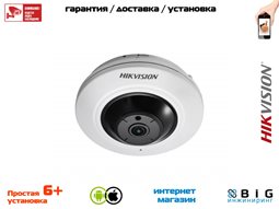 № 100097 Купить 5Мп fisheye IP-камера с ИК-подсветкой до 8м DS-2CD2955FWD-I Волгоград